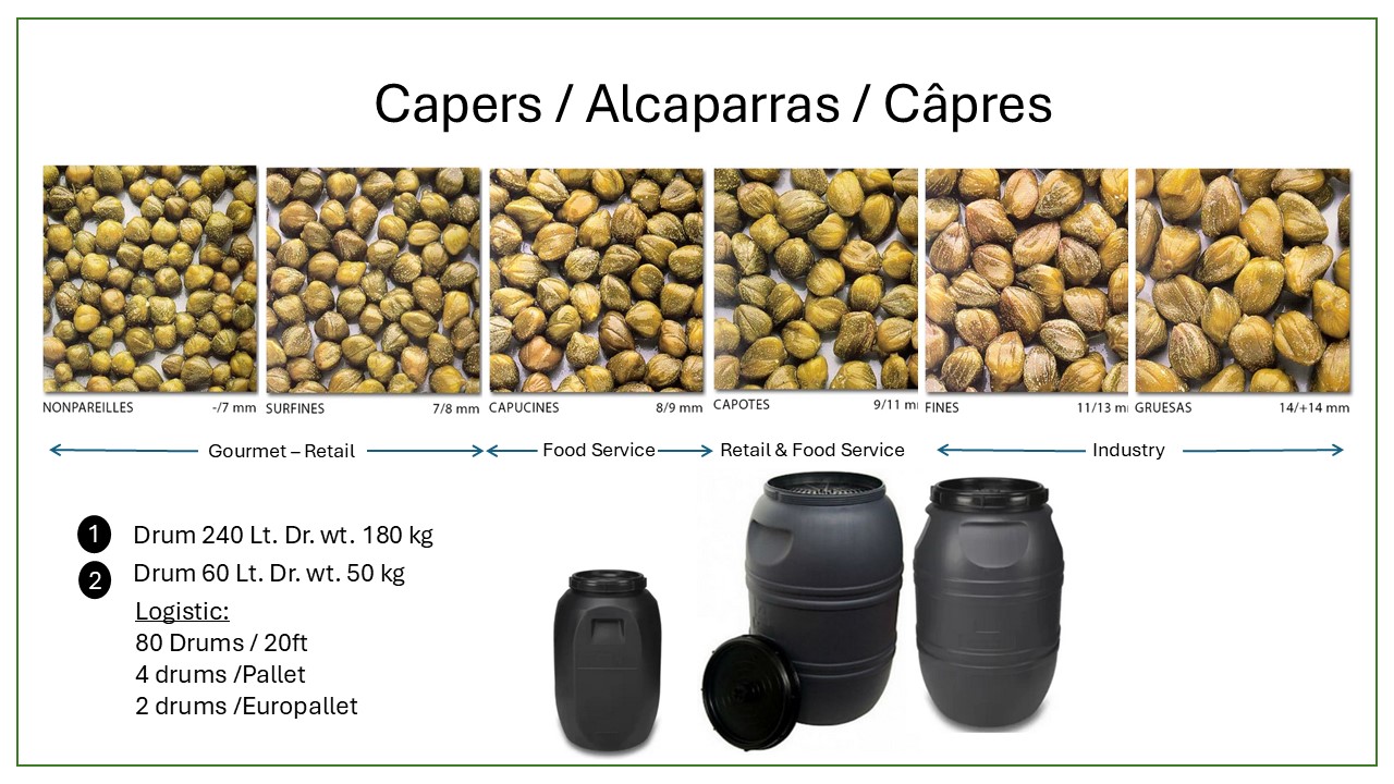 Vegetales encurtidos y aceitunas 01