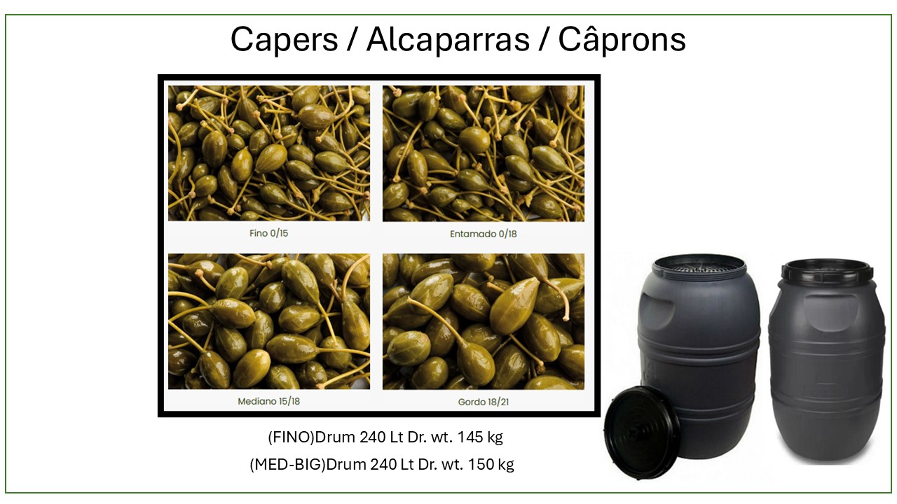 Vegetales encurtidos y aceitunas 02